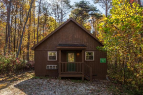 Blue Rose Cabins - Naughty Pine Cabin